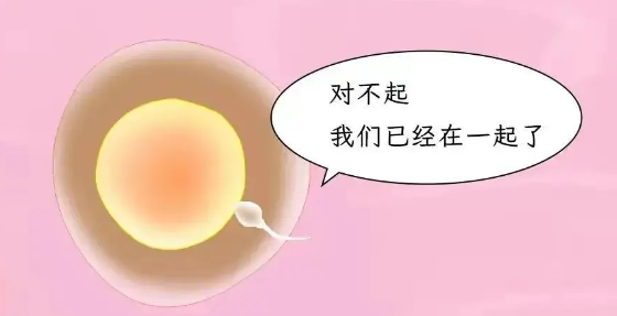 640 (3).png