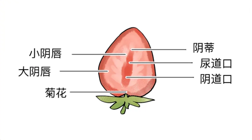 640.png 640.png